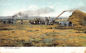 Postal: Escena de cosecha, UDB 1900, sin publicar - Imagen 1 de 2
