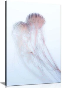 Pink Jellyfish underwater Framed Canvas Print Wall Art Home Decor - Picture 1 of 6