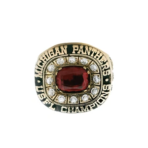 10K Yellow Gold 1983 Michigan Panthers Championship Ring - Picture 1 of 4