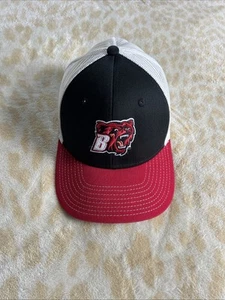 The Game Bridgewater State University Baseball Hat - Picture 1 of 3