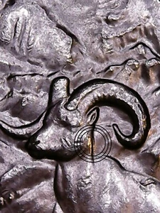 2012 p Denali ATB Quarter WDDR-005 Ship's Neck is Doubled. - Picture 1 of 4
