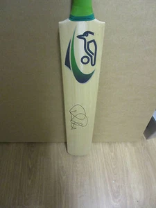 Ricky Ponting signed full size Kookaburra Cricket bat + Photo proof & COA - Picture 1 of 4