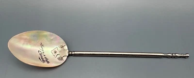 ANTIGUA CUCHARA DE RECUERDO MADREPERLA NIAGRA FALLS NY EE. UU. B319 Foto 1 de 4