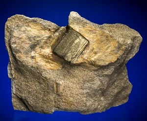 Pyrite Glendon, Moore County, North Carolina 1800-023 - Picture 1 of 4