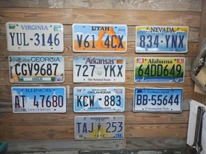 Variety of 10 expired 2019 Mixed State craft condition License Plate YUL 3146 - Imagen 1 de 1