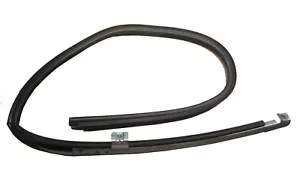 OEM 15766924 RH Front Door Channel Weatherstrip 00-04 Sonoma Jimmy Blazer S10 - Foto 1 di 2
