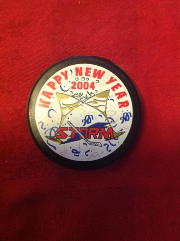 TOLEDO STORM HOCKEY 2004 HAPPY NEW YEAR ECHL ,WALLEYE , GOALDIGGERS Cover