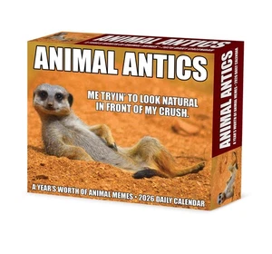 Animal Antics 2026 5.4" x 6.2" Box Calendar - Picture 1 of 6
