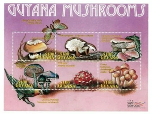 Guyana - 2000 - Mushrooms - Sheet Of 6 - MNH - Picture 1 of 1