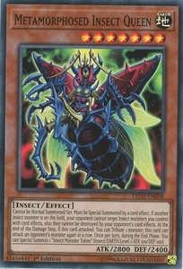 Yugioh Metamorphosed Insect Queen LED2-EN008 Super Rare 1st NM - Foto 1 di 1