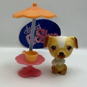 JACK RUSSEL DOG #40 W/ Accessory - Authentic Littlest Pet Shop - Hasbro LPS - Picture 1 of 4