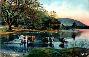 Postal de Middle Lake Killarney Irlanda - Imagen 1 de 2