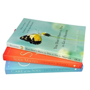 Sorge um die Seelenverwandten Thomas Moore Du musst nicht sterben, um in den Himmel zu kommen Bücher " - Bild 1 von 8