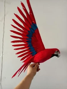 big simulation foam&feather red wings parrot model about 45x60cm - Picture 1 of 4