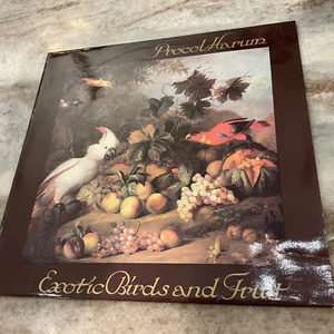PROCOL HARUM LP Exotic Birds And Fruit Chrysalis 1974 OG DUTCH PRESS EX/VG+ - Picture 1 of 3