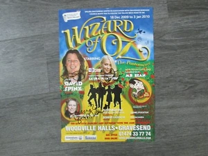 Laura Hamilton & David Spinx Wizard of Oz Hand SIGNED Gravesend Theatre Poster - Picture 1 of 9