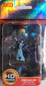 DUNGEONS & DRAGONS ICONS PREMIUM MINIATURES ~ ELF FEMALE WIZARD - Picture 1 of 2