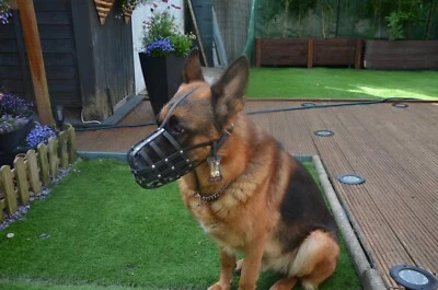 Leather Dog Muzzle | German Shepherd | fits other similar snouts | hard-wearing