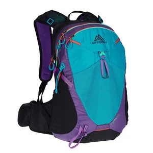 Gregory Maya 20 Tagesrucksack in Farbe Purple "neuwertig". - Bild 1 von 7