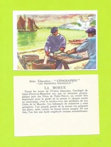Vignette - La morue - Picture 1 of 1