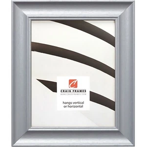 Craig Frames Vintage Revival, 1.75 Inch Wide Brushed Silver Picture Frame - Picture 1 of 11
