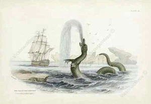Great Sea Serpent dragon monster antique Victorian print Jardine 1833 art poster - Picture 1 of 16