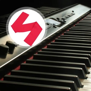 Cubierta de teclado de piano a prueba de polvo antiarañazos tela instrumento musical - Imagen 1 de 12