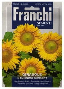 Semi/Seeds GIRASOLE Nanissimo Sunspot - Foto 1 di 1