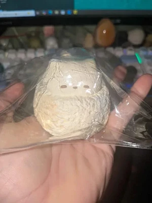 (B2G1 Free) Taba Squishy Fun, Stress Relief, Calm, Relaxing Toy - Image 1 of 4