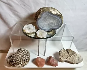 Lot of Agate and Fossils Natural Agate Geode Quartz Crystal Mineral Coral Reef - Picture 1 of 6