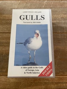 Gulls Double VHS Video Narrated By Bill Oddie Birdwatching 53 Forms 162 Minutes - Picture 1 of 4