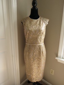 katherine kelly dresses dillards