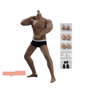 TBLeague PL2016-M33 1/6th Phicen Male Super Strong Seamless Stainless Steel Body - Picture 1 of 16