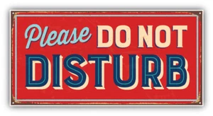 Calcomanía adhesiva para parachoques de coche con eslogan Please Not Disturb - Imagen 1 de 1