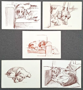 Spaniel Dog original signed sketch drawings vintage 60s wall art illustrations - Picture 1 of 7