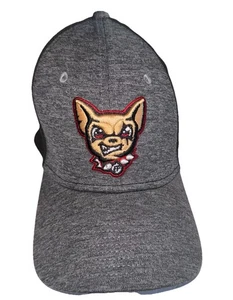 MilB Minor League El Paso Chihuahuas 39THIRTY New Era Hat Small/Medium - Picture 1 of 9