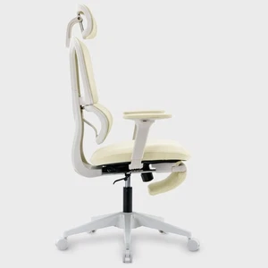 Multifunktionaler Ergonomischer Netz Bürostuhl mit Fußstütze Lordosenstütze Beige - Bild 1 von 5