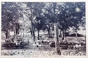 Cartolina - Santa Fiora ( Grosseto ) - Il Parco dei Gambrinus - 1932 - Picture 1 of 2