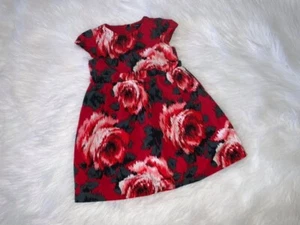 Baby Gap Ikat Rose Floral Dress 4 Yrs - Picture 1 of 1