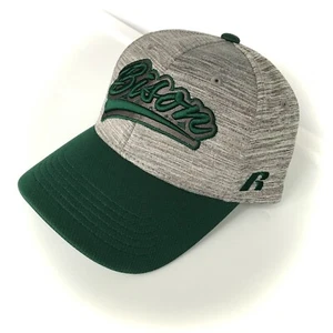New NORTH DAKOTA STATE BISON HAT gray snapback curved bill script men/women NDSU - Picture 1 of 5