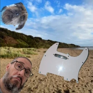 Classic Look Loaded White Tele Telecaster Pickguard Single coil Pickup WINNING!! - Picture 1 of 13
