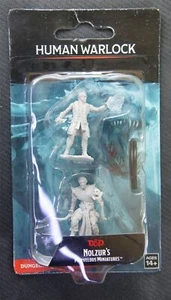 Human Warlock - Nolzurs Marvelous Miniatures - Dungeons and Dragons #8L - Picture 1 of 1
