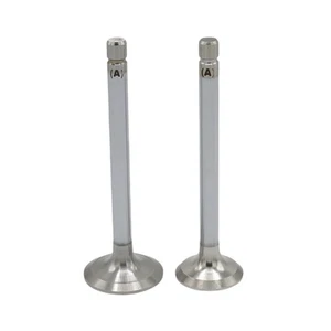 MOTORVENTILSATZ (In+Ex): Passend Für KUBOTA / D1403 / D1703 / D1462 / V1512 / V1 - Picture 1 of 2