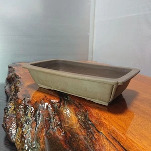 Bonsai Japonés Tokoname Rectángulo 20×12×5cm De Colección Japón - Imagen 1 de 4