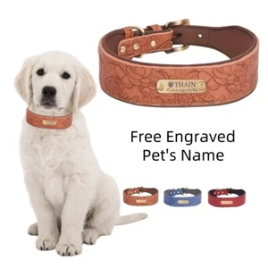 Personalisiertes Hundehalsband breit Leder weich mit Namensschild individuell verstellbar - Bild 1 von 13