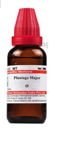 @ Dr Willmar Plantago Major omeopatico 30 ml - Foto 1 di 6