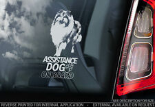 Assistenzhund Autoaufkleber - Rough Collie Hund an Bord Stoßstange Fensterschild V22