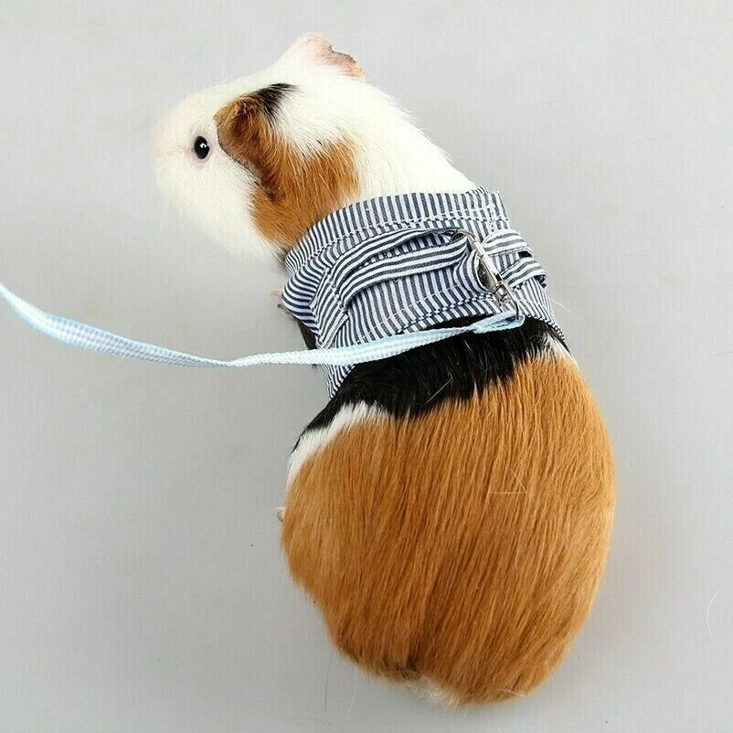 Hamster Lead Leash Chinchilla Dutch Pig Out Pulling Rope Strap Cotton Clothes - Image 1 of 4