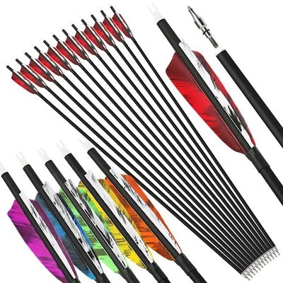 28" 30" 31" Carbon Arrows 4" Feather SP500 Archery Hunting Recurve Compound Bow  - Image 1 of 4