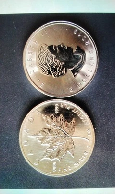 silbermünzen 1 oz maple leaf 8 Stück zusammen - Bild 1 von 4